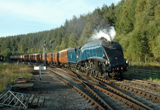 913607 (a): :2048x1406